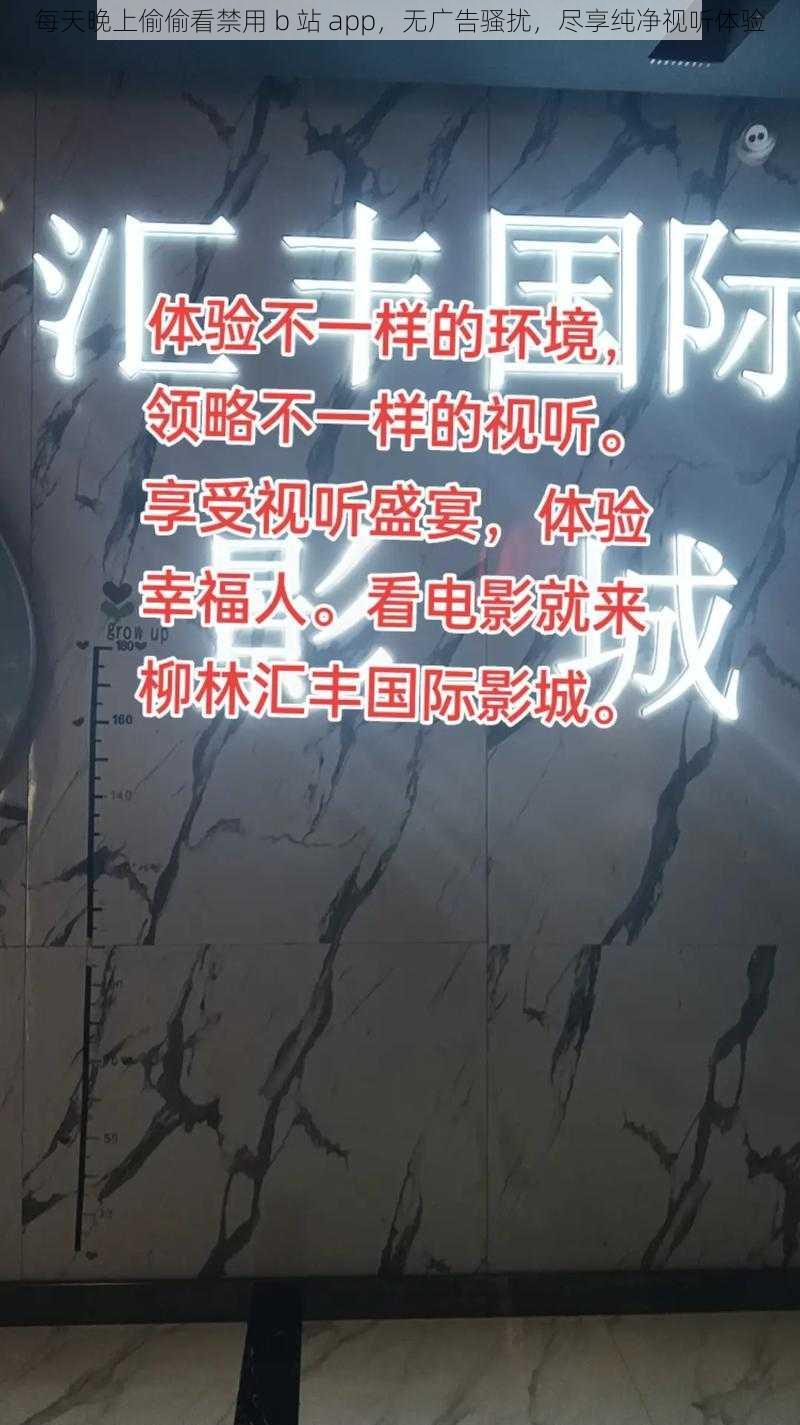 每天晚上偷偷看禁用 b 站 app,无广告骚扰,尽享纯净视听体验