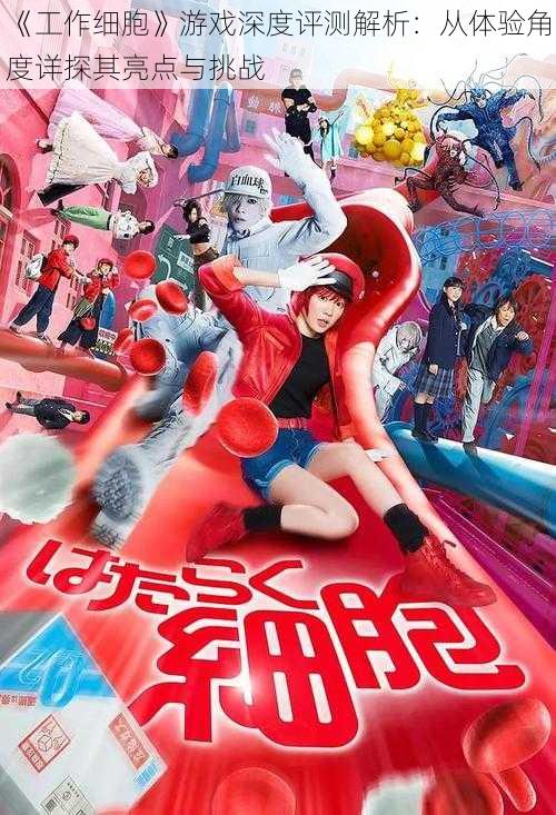 《工作细胞》游戏深度评测解析:从体验角度详探其亮点与挑战