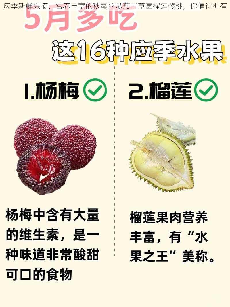 应季新鲜采摘,营养丰富的秋葵丝瓜茄子草莓榴莲樱桃,你值得拥有