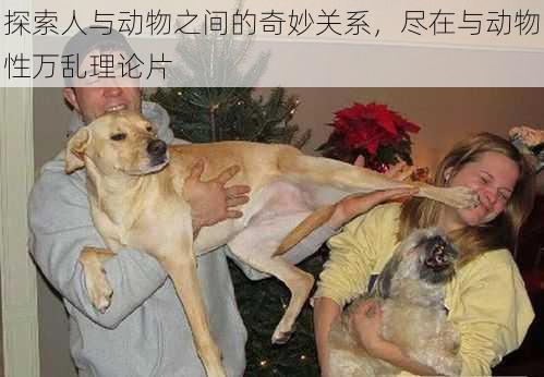 探索人与动物之间的奇妙关系，尽在与动物性万乱理论片