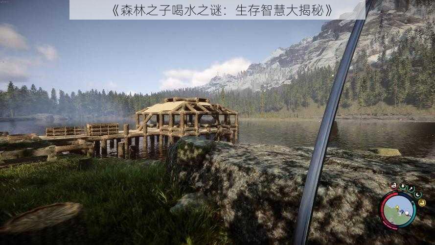 《森林之子喝水之谜:生存智慧大揭秘》
